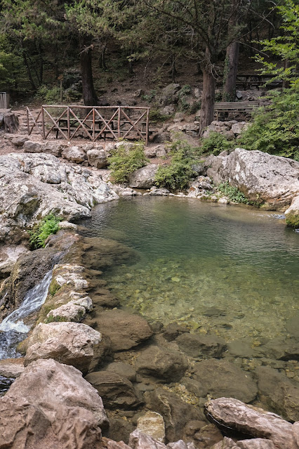 Cipresseta di Fontegreca picnic