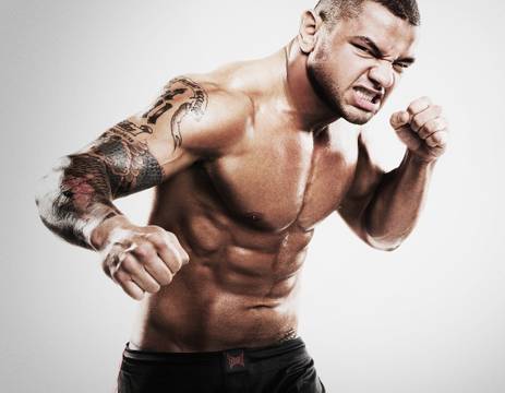 ufc mma fighter thiago alves picture wallpaper image