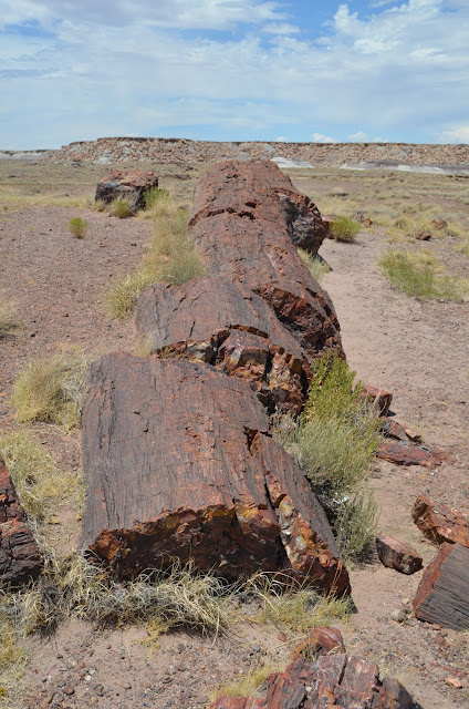 Petrified Forest National Park, Arizona