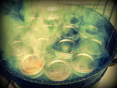 {I Think I Can}:  Cranapple Butter (Overnight in the Crockpot)---COOKS WHILE YOU SLEEP!  Makes the house smell amazing!