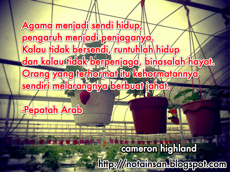 KATA KATA HIKMAH MUTIARA KATA MOTIVASI AGAMA KATA KATA HIKMAH MUTIARA KATA MOTIVASI AGAMA