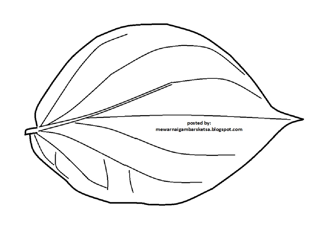 Tren 34 Gambar Sketsa Daun