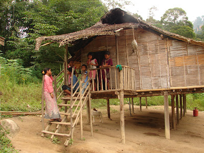 Hasil carian imej untuk orang asli cameron highland