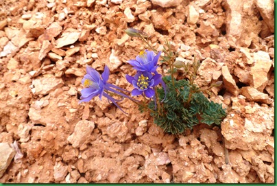 P1100681