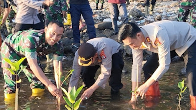 Dandim dan Kapolres Buleleng Melaksanakan Penanaman Mangrove Di Pesisir Pantai Desa Pemuteran 