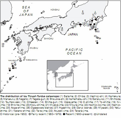 Ocorrência do Tordo-da-Ilha-de-Izu, no Japão