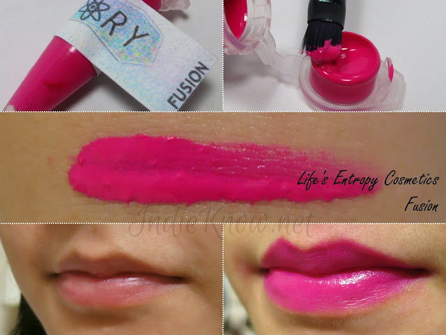 Life's Entropy Cosmetics Lip Theory Fusion