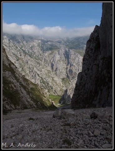 Picos 444