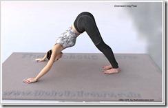 Downward-Dog-Yoga-Pose