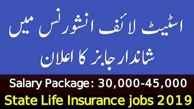 State Life Insurance Jobs 2019 | 600+ Vacancies |