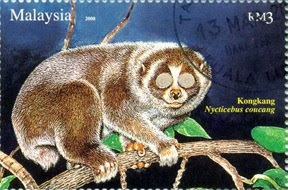 Nocturnal Animal RM3 Slow Loris Stamp