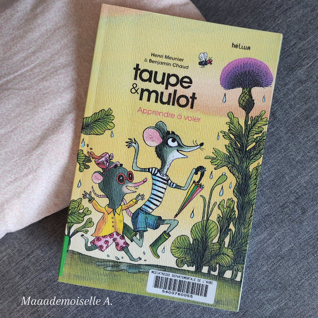 Taupe et Mulot - Tome 5 - Apprendre à voler (Présentation & Avis)