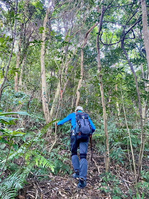 陡上往光城山（高遶山）