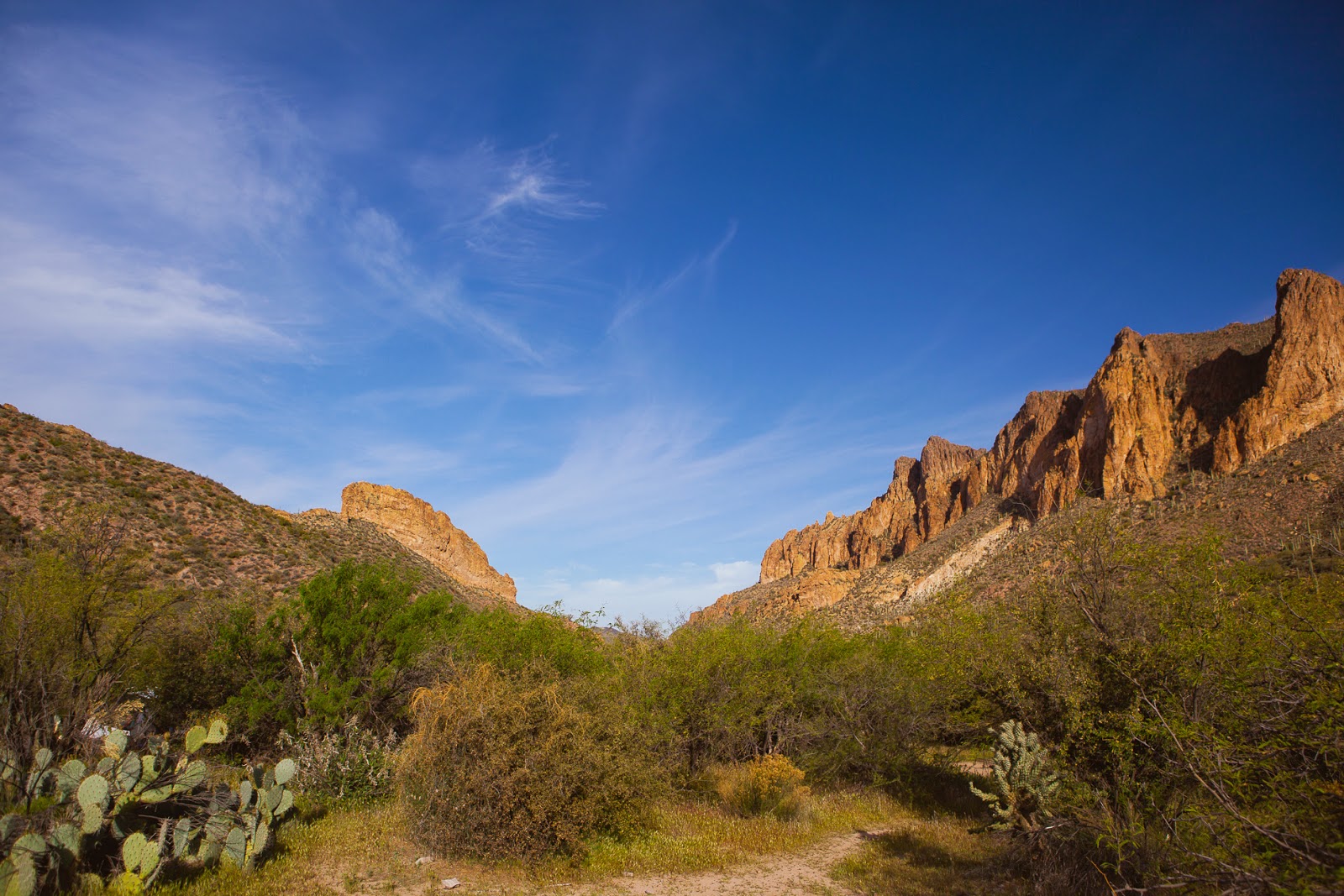 Jennifer Chong: Travel with REI Adventures  Superstition Mountains ...