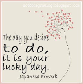 it is your lucky day