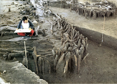 Iron Age wooden structures at Poggiomarino