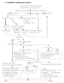 Askep Bronchopneumonia Pdf: Software Free Download ...