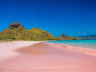 pink beach lombok, labuan bajo