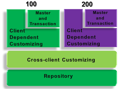 Essential Basis for SAP (ABAP, BW, Functional) Consultants Part-I