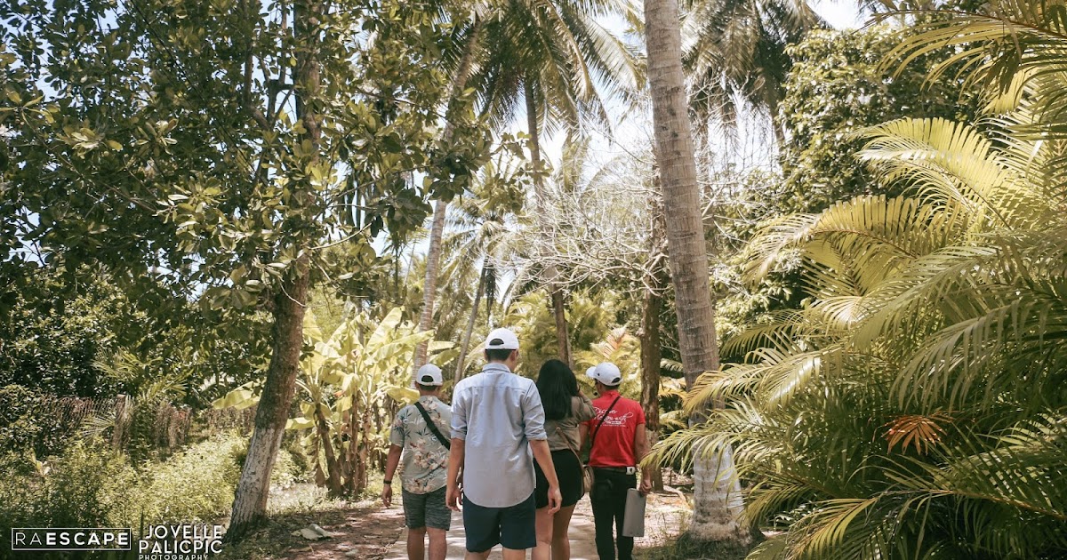 MEKONG DELTA TRAVEL GUIDE