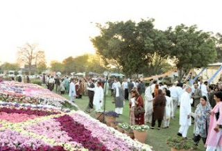 Flowers Exhibition In Pakistan