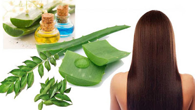 Best home remedies for hair loss