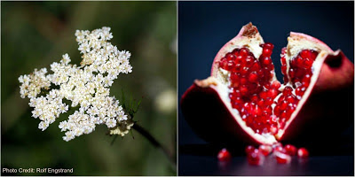 Caraway Seed oil and Pomegranate oil