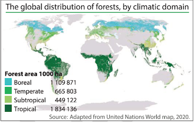 GLOBAL FOREST RESOURCES ASSESSMENT 2020 Daily Current Affairs 25 July 2020 | UPSC Current Affairs 2020 Daily News Teller