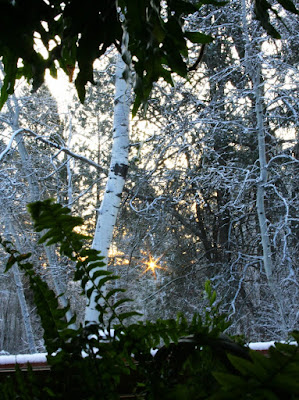 Morning light after a spring snow