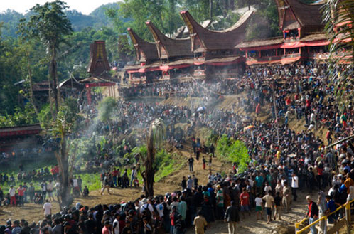 Sejarah dan Asal Usul Suku Toraja