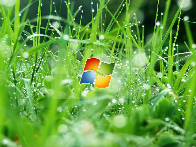 windows seven wallpapers,wallpapers