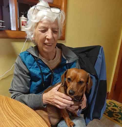 person holding a dachshund