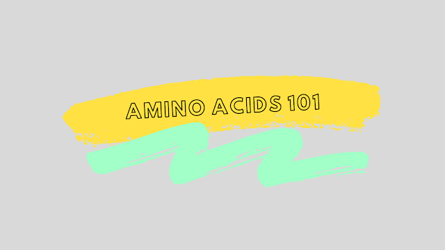 Amino Acids 101