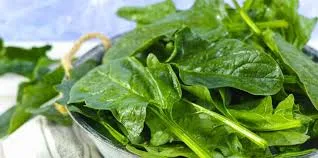 Spinach cooked