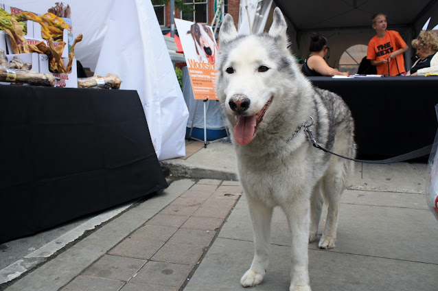 Woofstock Toronto 2012 in Photos by Omar Cherif, One Lucky Soul