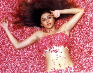 Hot namitha wallpapers, namitha in jagan mohin, indira vizha, namitha romance, namitha sexy stills