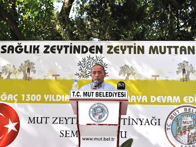 Gürsel Aydın: ''Ayvalık Zeytin Türü Mut'a Ait'' dedi