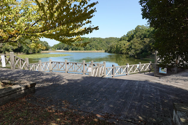 島根県出雲市大津町　荒神谷 史跡公園　西谷池