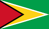 Logo Gambar Bendera Negara Guyana PNG JPG ukuran 100 px