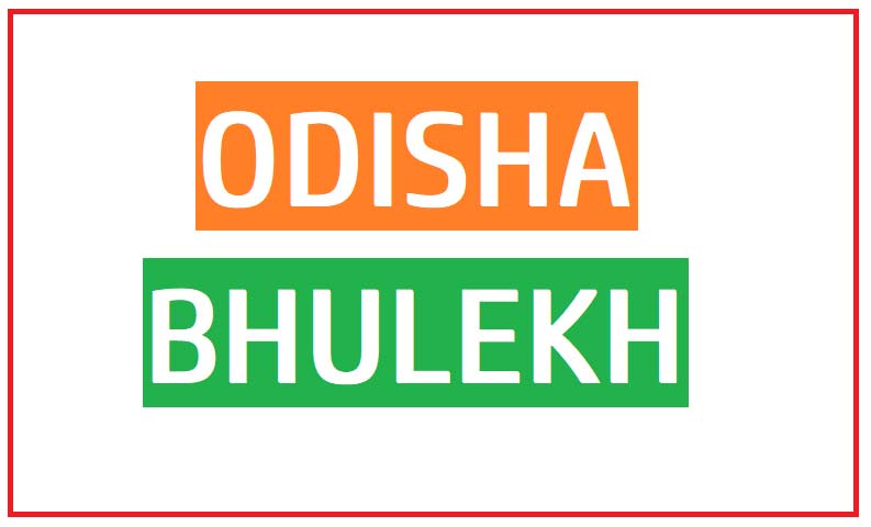 How to check bhulekh odisha plot details