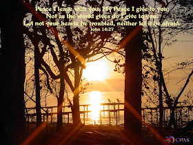 Bible Quote Nature Background