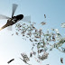 Ήρθε η ώρα του helicopter money