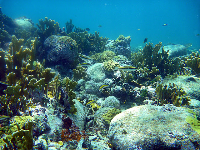 Belize Central America geology travel trip tour reef karst caves ocean coral