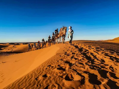 A Journey Through Morocco’s Golden Sahara