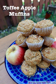 An easy blender muffin recipe combining apple chunks and toffee chips in a cinnamon-laced batter.