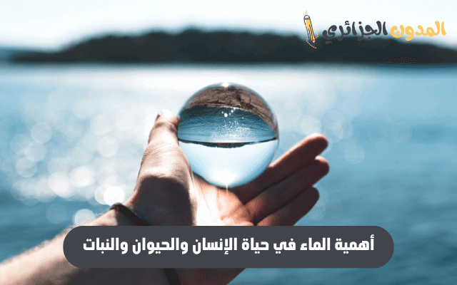 أهمية الماء في حياة الإنسان والحيوان والنبات،