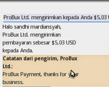 gambar Payout kedua Probux