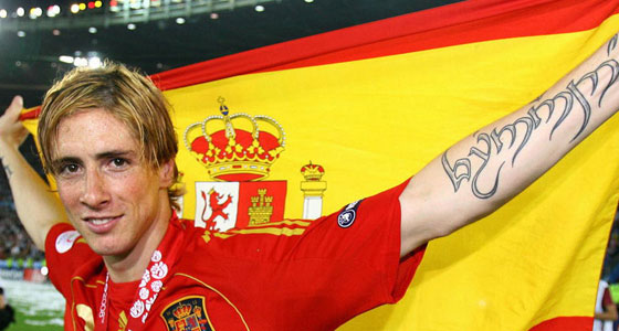 fernando torres spain