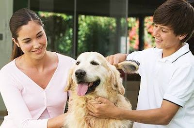 Tips for Lower Budget Pet care