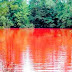 Keunikan Pesona Danau Merah Pagaralam